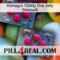 Kamagra 100Mg Oral Jelly Sildenafil 14